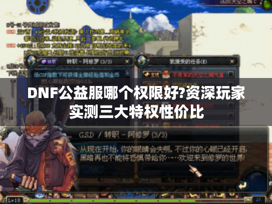 DNF公益服哪个权限好?资深玩家实测三大特权性价比