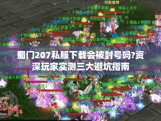 蜀门207私服下载会被封号吗?资深玩家实测三大避坑指南