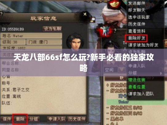 天龙八部66sf怎么玩?新手必看的独家攻略
