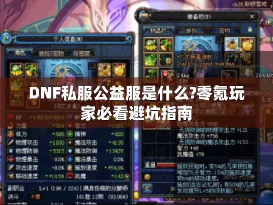 DNF私服公益服是什么?零氪玩家必看避坑指南