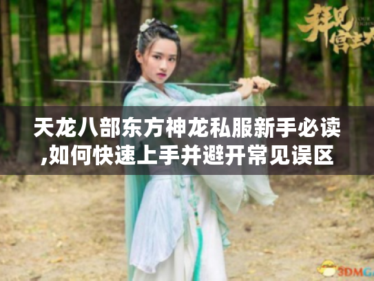 天龙八部东方神龙私服新手必读,如何快速上手并避开常见误区
