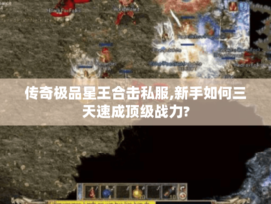 传奇极品星王合击私服,新手如何三天速成顶级战力?