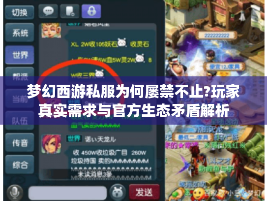 梦幻西游私服为何屡禁不止?玩家真实需求与官方生态矛盾解析