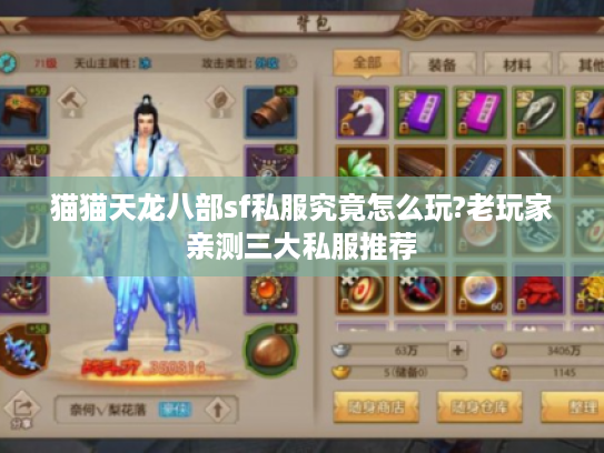 猫猫天龙八部sf私服究竟怎么玩?老玩家亲测三大私服推荐