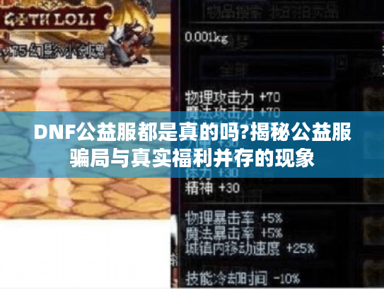 DNF公益服都是真的吗?揭秘公益服骗局与真实福利并存的现象