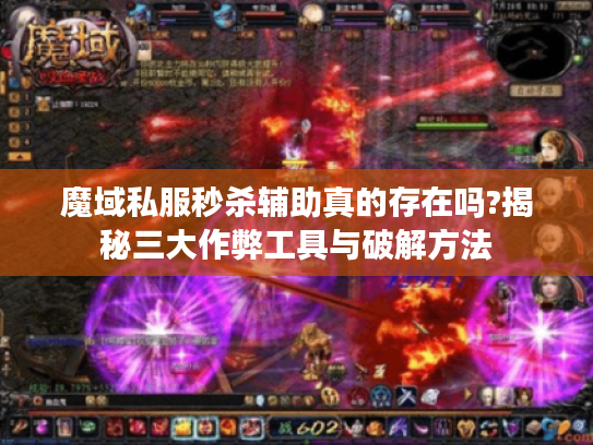魔域私服秒杀辅助真的存在吗?揭秘三大作弊工具与破解方法