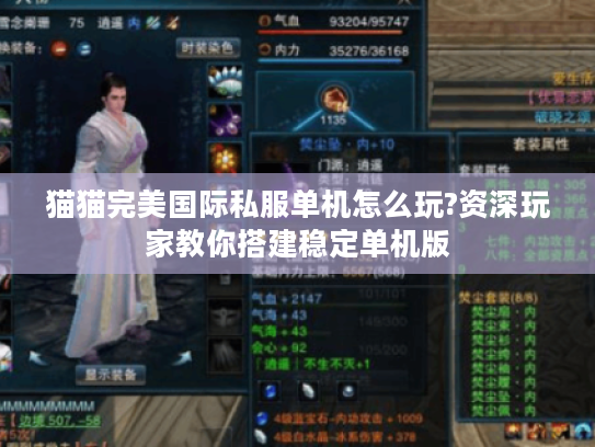 猫猫完美国际私服单机怎么玩?资深玩家教你搭建稳定单机版