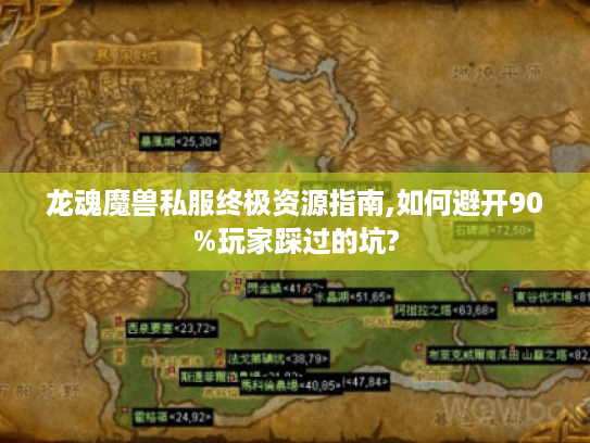 龙魂魔兽私服终极资源指南,如何避开90%玩家踩过的坑?