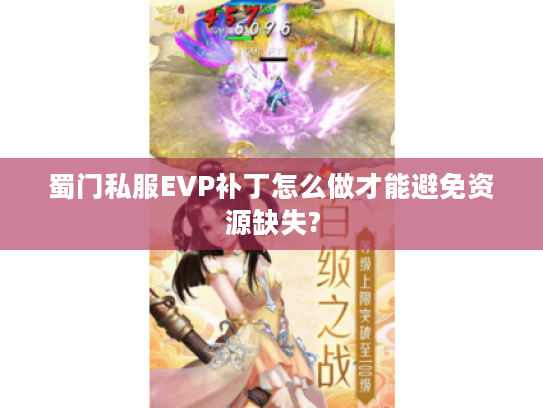 蜀门私服EVP补丁怎么做才能避免资源缺失?