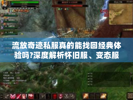 流放奇迹私服真的能找回经典体验吗?深度解析怀旧服、变态服与公益服差异
