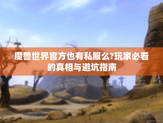 魔兽世界官方也有私服么?玩家必看的真相与避坑指南