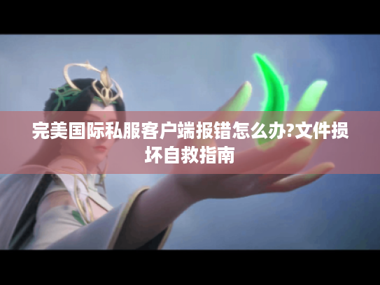 完美国际私服客户端报错怎么办?文件损坏自救指南