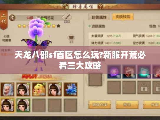 天龙八部sf首区怎么玩?新服开荒必看三大攻略