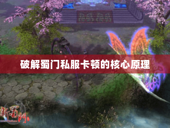 破解蜀门私服卡顿的核心原理