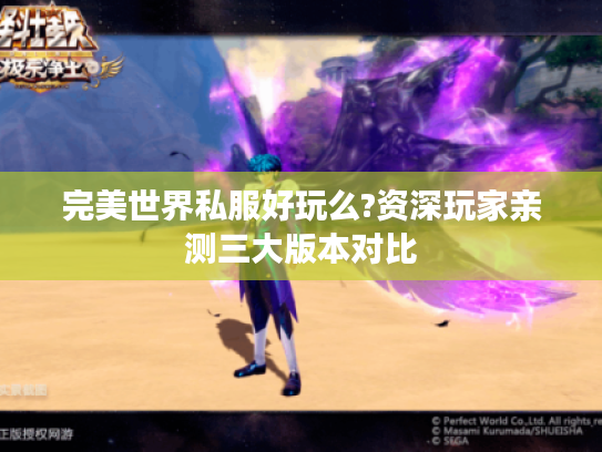 完美世界私服好玩么?资深玩家亲测三大版本对比 完美世界私服好玩么?资深玩家亲测三大版本对比