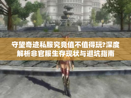 守望奇迹私服究竟值不值得玩?深度解析非官服生存现状与避坑指南