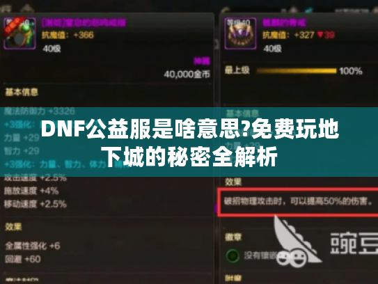 DNF公益服是啥意思?免费玩地下城的秘密全解析