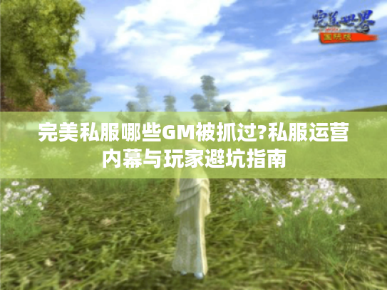 完美私服哪些GM被抓过?私服运营内幕与玩家避坑指南