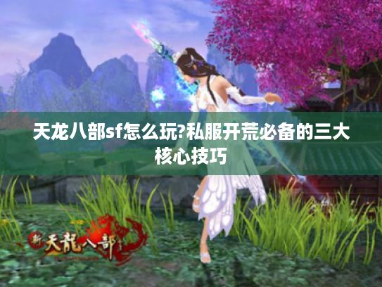 天龙八部sf怎么玩?私服开荒必备的三大核心技巧