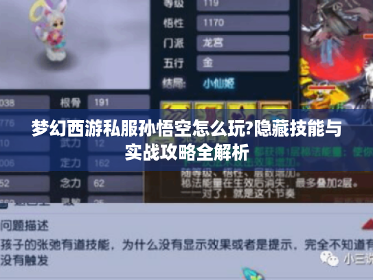 梦幻西游私服孙悟空怎么玩?隐藏技能与实战攻略全解析