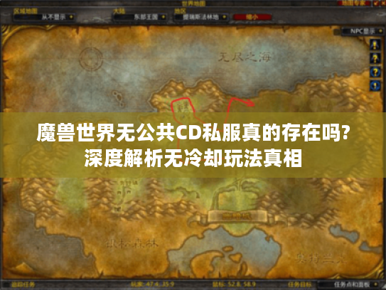 魔兽世界无公共CD私服真的存在吗?深度解析无冷却玩法真相