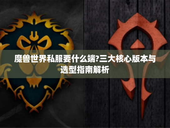魔兽世界私服要什么端?三大核心版本与选型指南解析