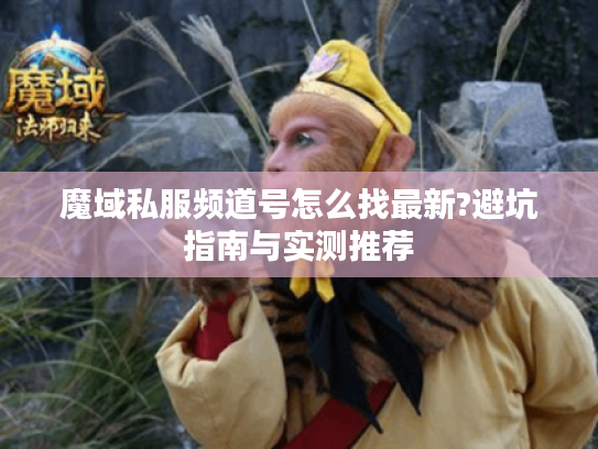魔域私服频道号怎么找最新?避坑指南与实测推荐
