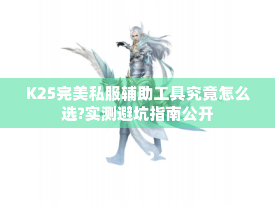 K25完美私服辅助工具究竟怎么选?实测避坑指南公开