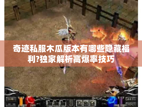 奇迹私服木瓜版本有哪些隐藏福利?独家解析高爆率技巧