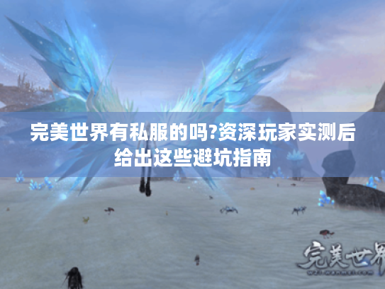 完美世界有私服的吗?资深玩家实测后给出这些避坑指南