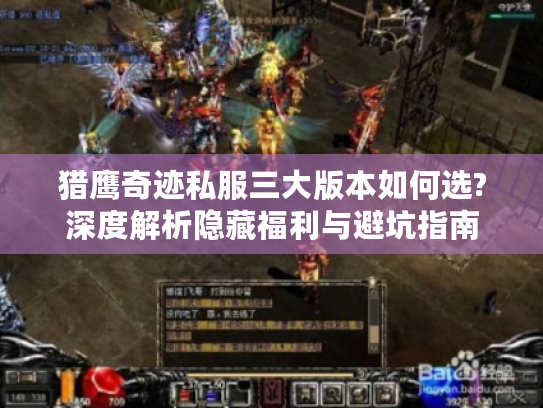 猎鹰奇迹私服三大版本如何选?深度解析隐藏福利与避坑指南