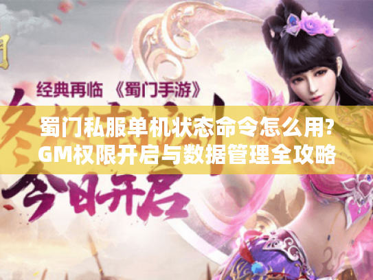 蜀门私服单机状态命令怎么用?GM权限开启与数据管理全攻略
