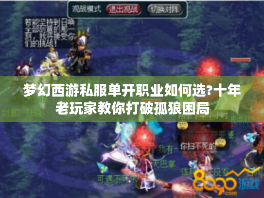 梦幻西游私服单开职业如何选?十年老玩家教你打破孤狼困局