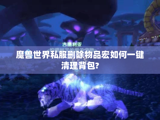 魔兽世界私服删除物品宏如何一键清理背包?