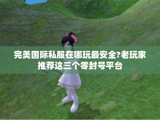 完美国际私服在哪玩最安全?老玩家推荐这三个零封号平台