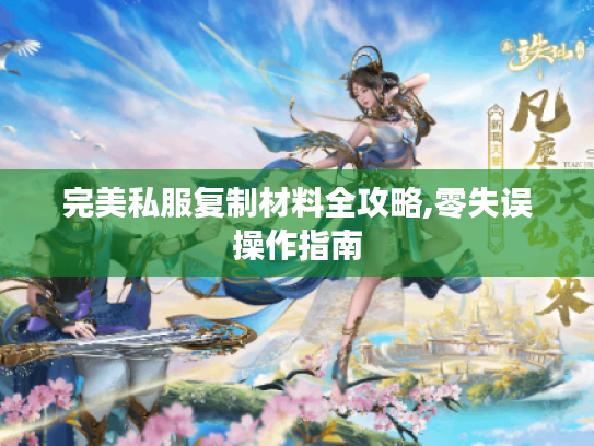 完美私服复制材料全攻略,零失误操作指南