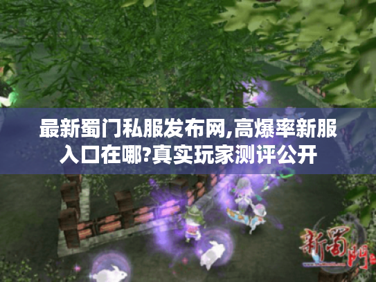 最新蜀门私服发布网,高爆率新服入口在哪?真实玩家测评公开