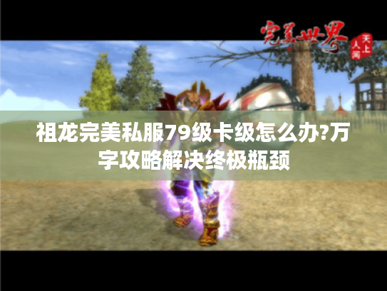 祖龙完美私服79级卡级怎么办?万字攻略解决终极瓶颈