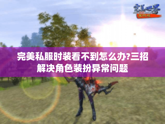 完美私服时装看不到怎么办?三招解决角色装扮异常问题