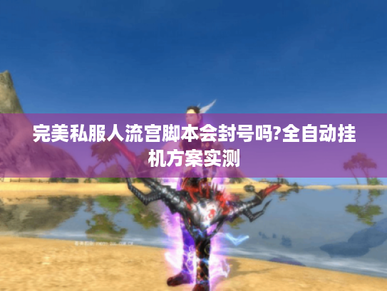 完美私服人流宫脚本会封号吗?全自动挂机方案实测