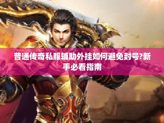 普通传奇私服辅助外挂如何避免封号?新手必看指南 普通传奇私服辅助外挂如何避免封号?新手必看指南