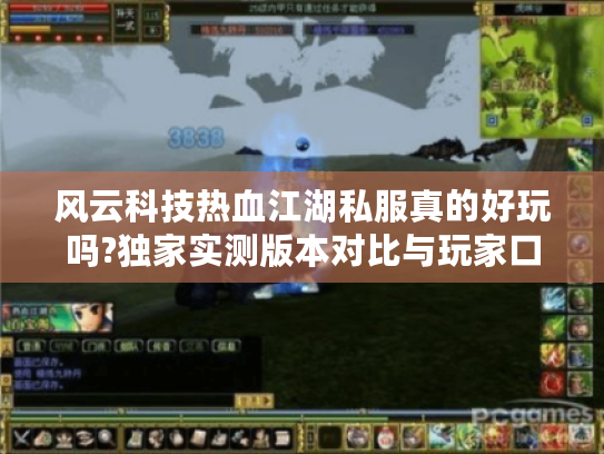 风云科技热血江湖私服真的好玩吗?独家实测版本对比与玩家口碑分析