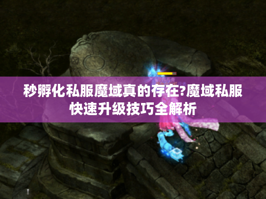 秒孵化私服魔域真的存在?魔域私服快速升级技巧全解析