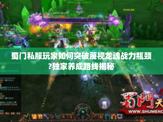 蜀门私服玩家如何突破蔑视龙魂战力瓶颈?独家养成路线揭秘