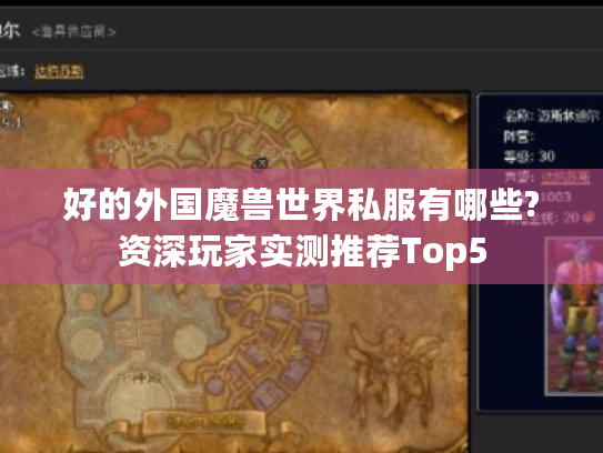 好的外国魔兽世界私服有哪些?资深玩家实测推荐Top5