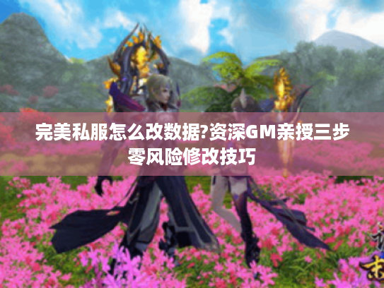 完美私服怎么改数据?资深GM亲授三步零风险修改技巧