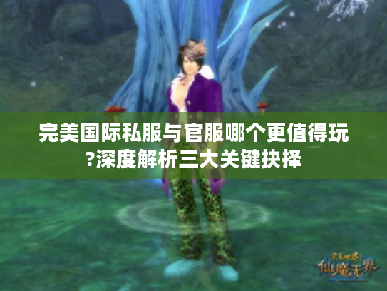 完美国际私服与官服哪个更值得玩?深度解析三大关键抉择