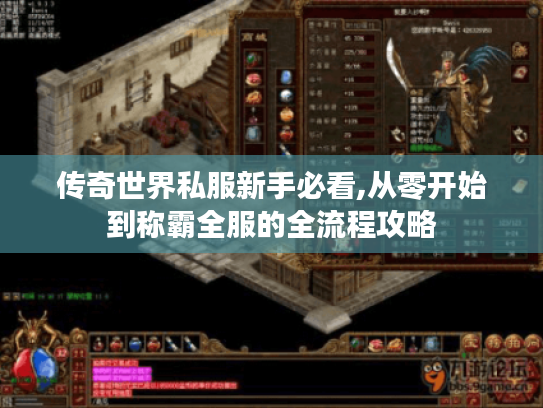 传奇世界私服新手必看,从零开始到称霸全服的全流程攻略