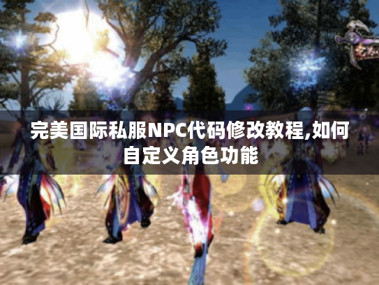 完美国际私服NPC代码修改教程,如何自定义角色功能