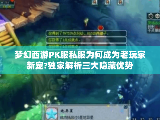 梦幻西游PK服私服为何成为老玩家新宠?独家解析三大隐藏优势 梦幻西游PK服私服为何成为老玩家新宠?独家解析三大隐藏优势